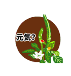 美しいお花たち（個別スタンプ：14）