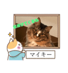 マイキーG3スタンプ（個別スタンプ：3）