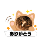 マイキーG3スタンプ（個別スタンプ：5）