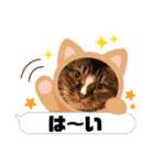 マイキーG3スタンプ（個別スタンプ：6）