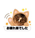 マイキーG3スタンプ（個別スタンプ：7）