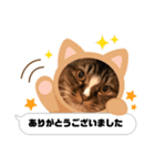 マイキーG3スタンプ（個別スタンプ：8）