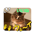 マイキーG3スタンプ（個別スタンプ：9）