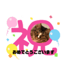 マイキーG3スタンプ（個別スタンプ：11）
