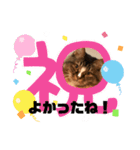 マイキーG3スタンプ（個別スタンプ：12）