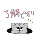 エキゾ猫★ゆる敬語（個別スタンプ：3）