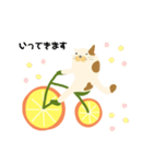 みかん自転車とねこ（個別スタンプ：1）