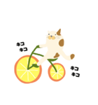 みかん自転車とねこ（個別スタンプ：3）