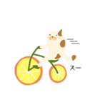 みかん自転車とねこ（個別スタンプ：4）