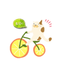 みかん自転車とねこ（個別スタンプ：5）