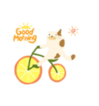 みかん自転車とねこ（個別スタンプ：6）