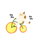 みかん自転車とねこ（個別スタンプ：10）