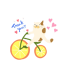 みかん自転車とねこ（個別スタンプ：12）