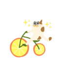 みかん自転車とねこ（個別スタンプ：17）