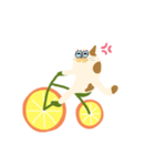 みかん自転車とねこ（個別スタンプ：19）