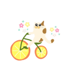 みかん自転車とねこ（個別スタンプ：20）