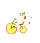 みかん自転車とねこ（個別スタンプ：22）