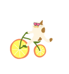 みかん自転車とねこ（個別スタンプ：25）