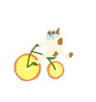 みかん自転車とねこ（個別スタンプ：26）