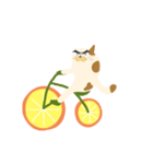 みかん自転車とねこ（個別スタンプ：28）