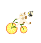 みかん自転車とねこ（個別スタンプ：33）