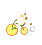 みかん自転車とねこ（個別スタンプ：34）