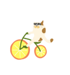 みかん自転車とねこ（個別スタンプ：40）