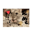 わたしのハムスター集（個別スタンプ：16）