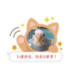 インコりくちゃん♡ぴぃちゃんスタンプ（個別スタンプ：2）