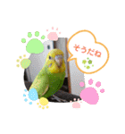 インコりくちゃん♡ぴぃちゃんスタンプ（個別スタンプ：24）