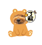 チャッピーさんの日常（個別スタンプ：4）