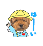 チャッピーさんの日常（個別スタンプ：5）