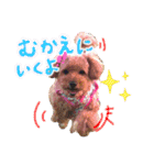 チャッピーさんの日常（個別スタンプ：13）