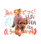 チャッピーさんの日常（個別スタンプ：14）