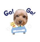 チャッピーさんの日常（個別スタンプ：15）