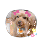 チャッピーさんの日常（個別スタンプ：16）