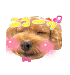 チャッピーさんの日常（個別スタンプ：21）