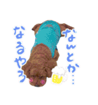 チャッピーさんの日常（個別スタンプ：24）
