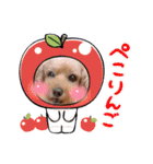 チャッピーさんの日常（個別スタンプ：25）