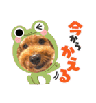 チャッピーさんの日常（個別スタンプ：26）