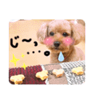 チャッピーさんの日常（個別スタンプ：28）