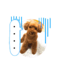 チャッピーさんの日常（個別スタンプ：29）