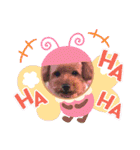 チャッピーさんの日常（個別スタンプ：31）