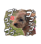 チャッピーさんの日常（個別スタンプ：34）
