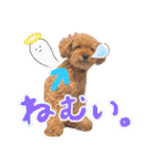 チャッピーさんの日常（個別スタンプ：37）