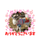 フワフワ永遠君（個別スタンプ：2）
