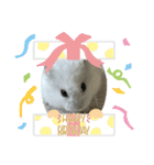 くるくるちゃんの日常3（個別スタンプ：4）