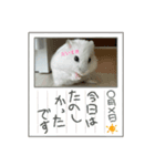くるくるちゃんの日常3（個別スタンプ：5）