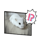 くるくるちゃんの日常3（個別スタンプ：6）