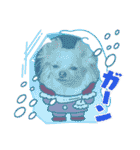 チワワのりんてんるん（個別スタンプ：9）